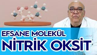 Performans Artırıcı 14 Gıda! EFSANE MOLEKÜL / 5 Dakikada Sağlık