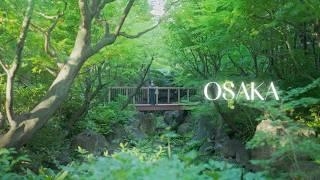 Enjoy Summer Events in Osaka, Japan  | Sunflower Field, Star Festival, Milky Way