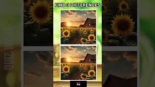 Find the 3 differences  #171 Sc #spotthedifference #puzzles #quiz#findthedifference