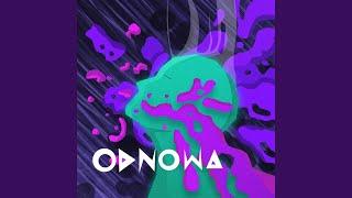 Odnowa