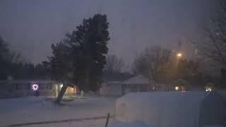 Tree Falling Down Winter Storm 2022