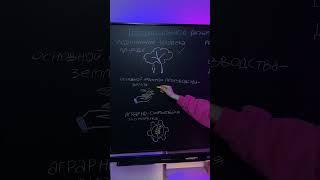 Традиционное общество #егэ #обществознание #shorts