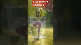 물 한 잔 그리고 스트레칭