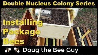 Double Nucleus Colony Series Episode 4 Installing Package Bees in a Double Nucleus Colony