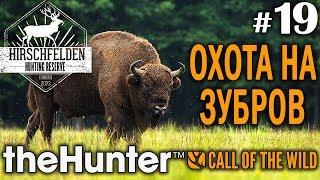 theHunter call of the wild #19  - Охота На Зубров - Винтовка, Револьвер - Зубр, Косуля