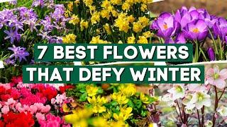 7 Flowers That DEFY Winter! Grow Them Now ️ // Fall Gardening Tips 