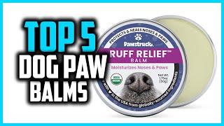 Top 5 Best Dog Paw Balms Reviews 2024