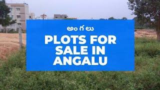 Plots for Sale in Angalu| Dream Home Real Estate Properties madanapalle