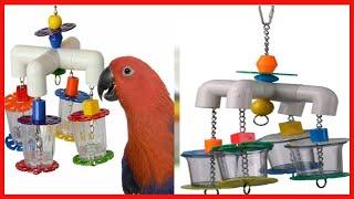 Super Bird Creations SB634 Foraging 4 Way Forager Bird Toy with Clear Acrylic Cups, Medium/Large