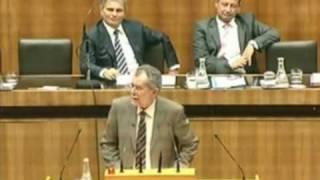 Alexander van der Bellen in der 19. Nationalratssitzung