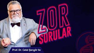 Prof. Dr. Celal Şengör ile Zor Sorular: Bilim, Din, Felsefe!