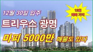 트리우스 광명 분양권 마피 5000만원 매물도 있다 + 12월 매매 가격 + 12월 30일 입주 개시 + 광명 아파트 + 광명 부동산 + 광명 분양권