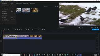 Saving A Project In Movavi Video Editor 2023