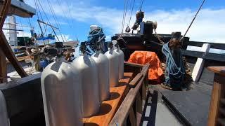 Raja Ampat, Liveaboard Ratu Laut, October 2019