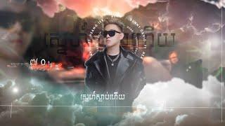 ស្នេហាអាយុ ៧០ថ្ងៃ x Bazz Down Low 2024 (ARS Remix)