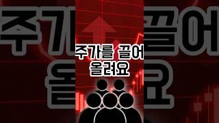 물리지않는 매매비법 개미투자자 필수시청