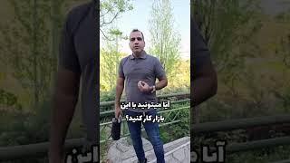 برای صادرات به عراق نیاز به ثبت شرکت داریم ؟