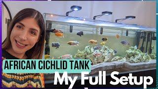 Full African Cichlid Tank Setup - My 6ft Lake Malawi Aquarium