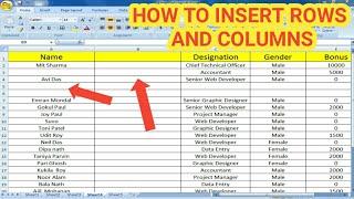 How To Insert Columns, Rows In || MS Excel || In Bangla