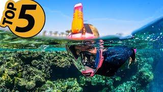  TOP 5 Best Full Face Snorkeling Mask: Today’s Top Picks