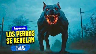  LOS PERROS SE REVELAN CONTRA LA HUMANIDAD Y SE CONVIERTEN EN ZOMBIES | RESUMEN