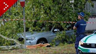 Heavy storm hits Turin, roofs torn off and trees blown down by the wind in the Mirafiori area