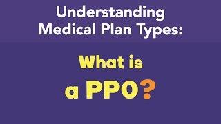 What is a PPO?