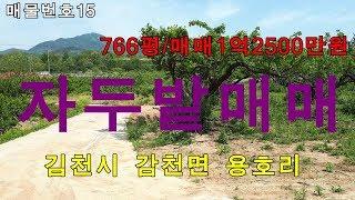 (거래완료)김천대한공인중개사/김천시 감천면 용호리 토지매매/766평/매매1억2500만원/집터,텃밭