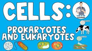 Cells:  Eukaryotes and Prokaryotes