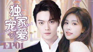 MUTLISUB【独家宠爱/Exclusive Fairytale】▶EP 01当美女编辑遇上霸道总裁两人从冤家路窄到彼此惺惺相惜看霸总如何虐妻一时爽追妻火葬场#许凯#白鹿️丸子甜宠剧场