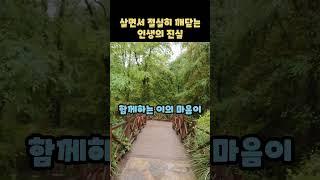 살면서 절실히 깨닫는 인생의 진실  당신의 삶을 바꾸는 1분 명언 #명언 #멋진글귀 #motivation