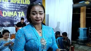 ANAK LANANG || CS. ADINATA || SATRIO LARAS AUDIO || PRINCESS MULTIMEDIA