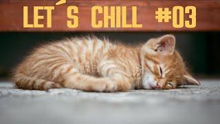 Let´s Chill: Das Let´s Play zum Einschlafen #03