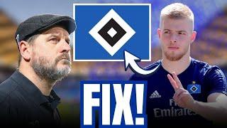 TRANSFER-COUP: Van DRONGELEN kehrt zum HSV ZURÜCK | hamburger sv nachrichten