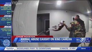 Animal abuse caught on Ring camera