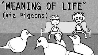 "MEANING OF LIFE" (Via Pigeons) Tales Of Mere Existence