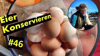 Eier konservieren / KalkEier und EssigEier / 1 Jahr lang keine Lebensmittel einkaufen #46