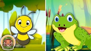 Learn About Animals That Are Important To Human Survival! | Animal Songs For Kids | KLT WILD