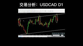 交易分析：USDCAD D1 #股票和外汇 #金融知识 #金融小白 #外汇新手 #外汇入门 #交易者 #外汇交易赚钱 #交易者赚钱 #交易赚钱 #外汇交易分析 #生活理财 #投资交易 #赚钱