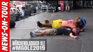 Johnny Däpp "hinsetzen" (4k) Lorenz Büffel | Mönchengladbach Ole 2019 | Mallorca Hits 2019