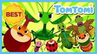 Small but Mighty Insects | Insect Songs Compilation | Songs about Bugs | Kids Song | TOMTOMI