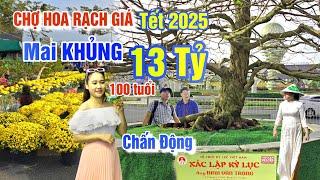 CHẤN ĐỘNG CHỢ HOA TẾT 2025 TP RẠCH GIÁ: CỤ MAI VÀNG 13 TỶ 100 NĂM TUỔI PHÁ VỠ KỶ LỤC XUÂN ẤT TỴ