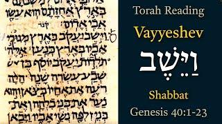 Vayyeshev - Day 7 | Daily Torah Portion | 21-Dec-2024 | Genesis 40:1-23