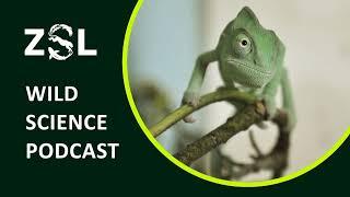 ZSL #029 The future of biodiversity conservation - different dimensions of conservation thinking