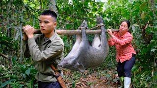 Detect wild boars, make traps and catch them home - gardening | Phuong Family Life