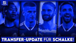 Transfer-Update Schalke: So steht es um Balikwisha, Sánchez, Asta, Matic, Karaman und mehr!