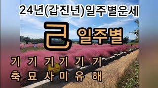 24년(갑진년)일주별세운-기토일주