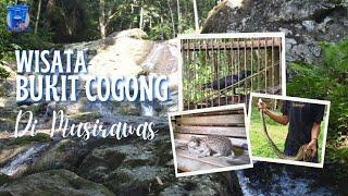 Luar Biasa!! Objek Wisata Bukit Cogong Kabupaten Musirawas