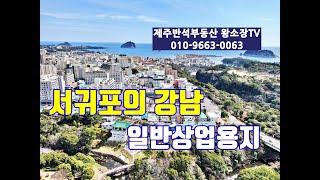 서귀포의 강남 / 서귀포시 서귀동 일반상업용지