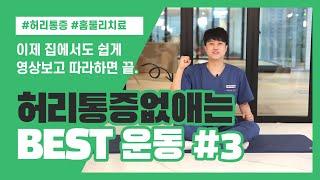 집에서 쉽게 따라하는 '허리 아플때 통증 없애는' BEST 운동 3주차